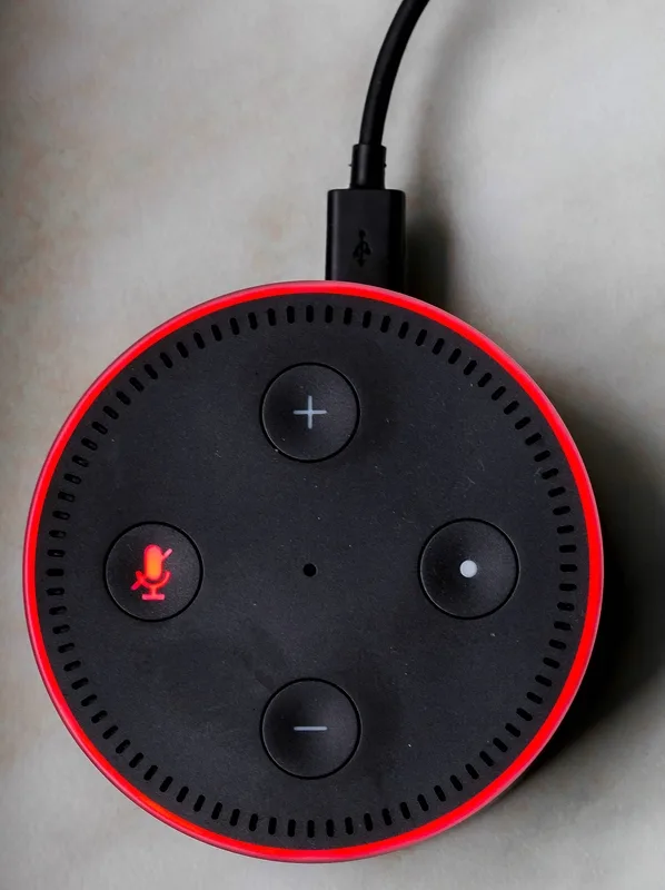 echo dot button reset