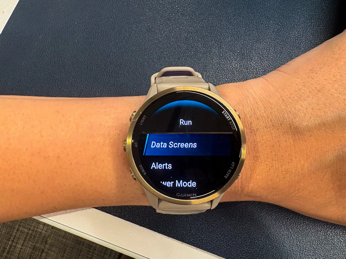 Garmin watch menu reset