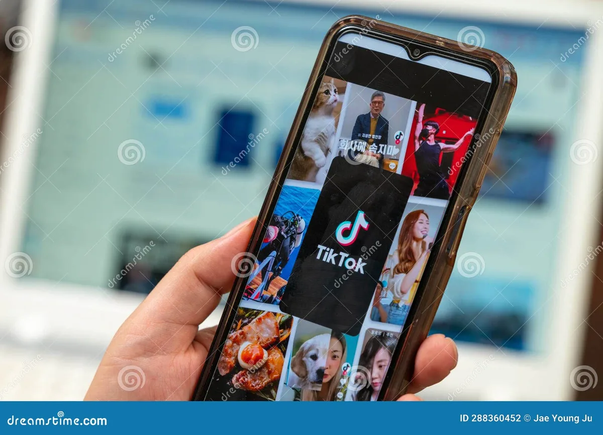 how to reset tiktok fyp
