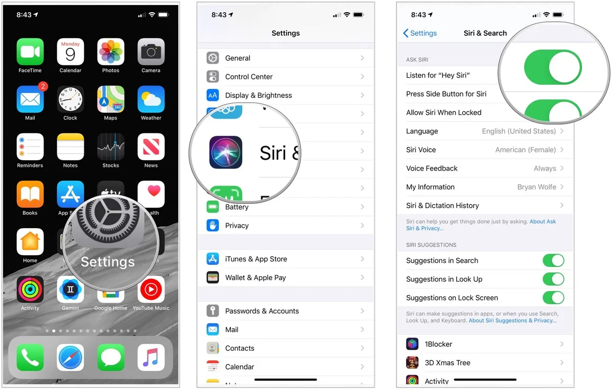 iPhone Siri settings