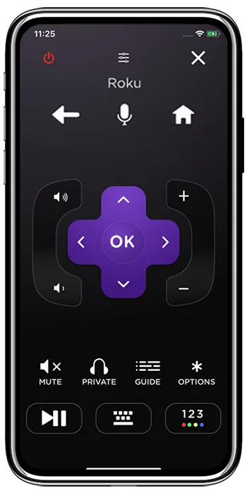 roku mobile app remote control