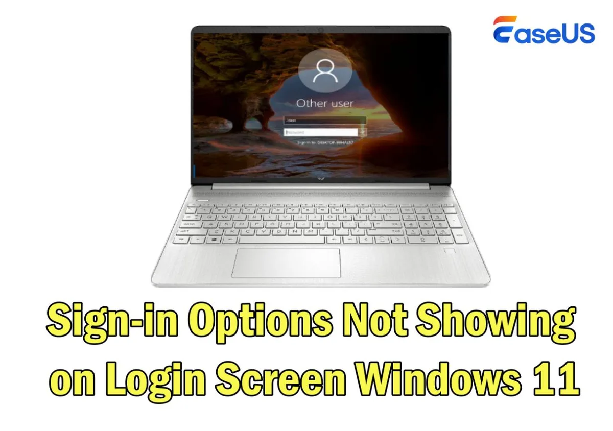 Windows 11 sign-in screen